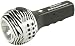 Small World Express Sound Flashlight - Safari