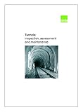 Tunnels : inspection, assessment and maintenance
