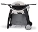 Weber 20001 Gasgrill Q 200 plus Premium Rollwagen