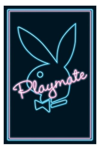 Empire 213631 Playmate Neon, Poster / Plakat ca. 91.5 x 61 cm
