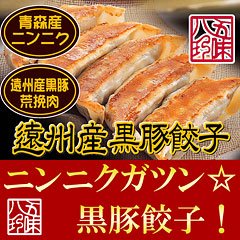 ニンニクたっぷり黒豚餃子28個入【五味八珍直売】14×2P