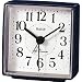 �V�`�Y�� CITIZEN �d�g���v 4RLA01DA11
