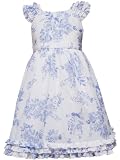 Rare Editions Girls 2-6X Peri Toile Dress