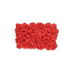 Red Coral Stretch Bracelet by Puresplash
