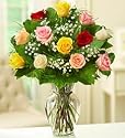 Rose Elegance Premium Long Stem Assorted Roses - One Dozen Assorted Roses
