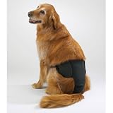 X-LARGE - Clean Go Pet Male Pants