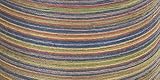 Multicolor Cotton Hand Quilting Thread 250 Yards