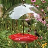 Birds Choice HummerDome 8 Ounce Hummingbird Feeder with Dome