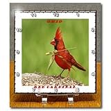 State Bird Of Ohio Red Cardinal - 6x6 Desk Clock