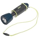 Coleman Companion Flashlight/Lantern with Light Show