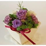 �y�v���U�[�u�h�t�����[�z�X�N�G�A�A�����W�E�G���K���g�p�[�v���y�T���N�X�u�[�P�z