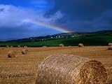 Straw Bales and Rainbow at Harvest Time, Ireland Lonely Planet Collection Photographic Poster Print by Gareth McCormack, 16x12
