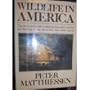 Wildlife in America
