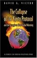 The Collapse of the Kyoto Protocol and the Struggle to Slow Global Warming (Council on Foreign Relations Book)