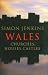 Wales: Churches, Houses, Castles