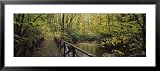 Footbridge Over a Pond in a Forest, Cucumber Run, Ohiopyle State Park, Pennsylvania, USA Framed Art Poster Print by Panoramic Images, 43x19 41I6mcvMFUL. SL160 Footbridge Over a Pond in a Forest, Cucumber Run, Ohiopyle State Park, Pennsylvania, USA Framed Art Poster Print by Panoramic Images, 43x19