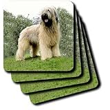 41I7 KN1P3L. SL160  Buy Briard Items