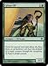 Magic: the Gathering - Cylian Elf - Shards of Alara - Foil