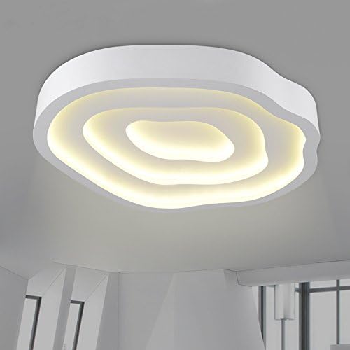 UZI-Simple wrought iron ceiling lights led-bedroom rose modern living room lamp