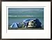 Campsite on Oceans Edge with Tents, Vw Camper and Surfer in a Chair Framed Photographic Poster Print by Skip Brown, 29x21