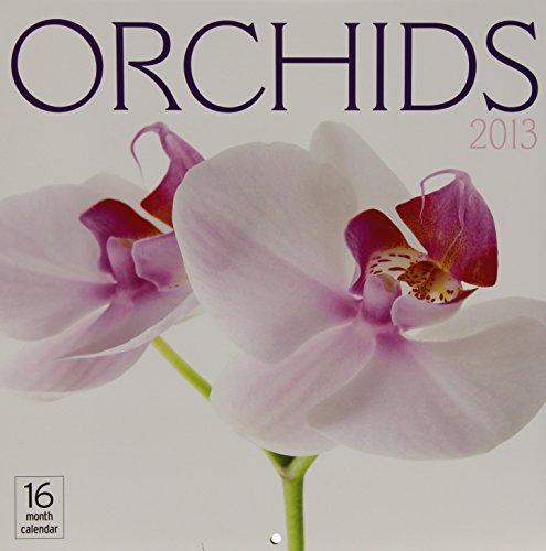 2013 Orchids