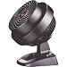 Kitchen & Housewares : Vornado 530B 3 Speed Compact Air Circulator, Black