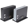SoundCast SCS100 Wireless Speakers delivery system