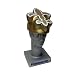 New Orleans Saints Foamheads Team Hat