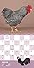 Extraordinary Chickens 2016 Wall Calendar