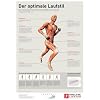 Der optimale Laufstil: Der Laufstil entscheidet mehr als jeder Ausr�stungsgegenstand �ber die Qualit�t Ihrer Laufbewegung. Mit natural running laufen ... und beugen orthop�dischen Problemen vor