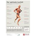 Der optimale Laufstil: Der Laufstil entscheidet mehr als jeder Ausr�stungsgegenstand �ber die Qualit�t Ihrer Laufbewegung. Mit natural running laufen ... und beugen orthop�dischen Problemen vor