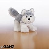 SPECIAL OFFER : WebKinz HUSKY ALASKA + 12 Stars Marbles in the playground ! Plush + 1 Access Code : valid for 1 year on the WEBKINZ website .... educational and fun !