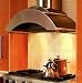 ZTH-236 SS Stainless Steel Wall Mount Range Hood with 600 CFM Internal Blower Halogen Lighting Gla
