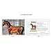 Enesco Trail of Painted Ponies “Stand By Me” Stone Resin Horse Figurine, 7.5”