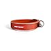 EzyDog Neo Dog Collar, Medium, Orange