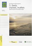Sands, channels, mudflats : Sediment transport and morphologic changes