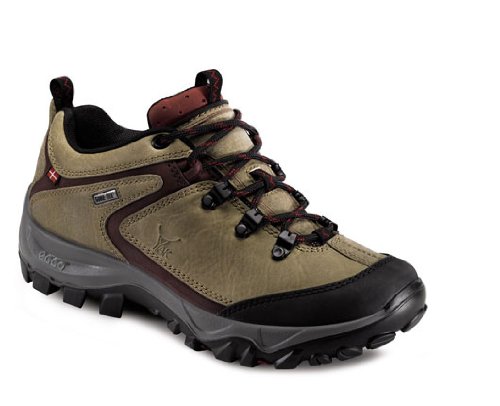 ECCO Women's Sayan Low GTX Hiking Shoe