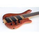 NEW PRO NECK THRU EXOTIC 5 STRING ELECTRIC BASS GUITAR