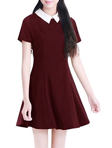Allegra K Women Doll Collar Short Sleeves Fit and Flare Dress Red S