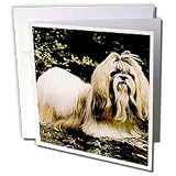 Dogs ShihTzu - Shih Tzu - Greeting Cards-12 Greeting Cards with envelopes