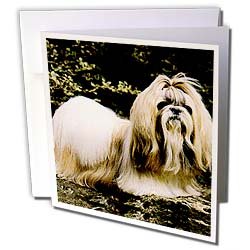 image link - - B000VG8NV6