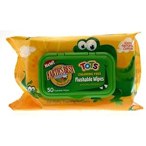 Earth's Best TenderCare Flushable Wipes, 50-Count (Pack of 12)