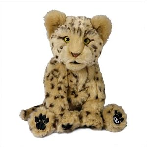 Alive Leopard Cub by
