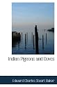 Indian Pigeons and Doves