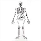 Skeleton Floor Puzzle