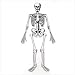 Skeleton Floor Puzzle