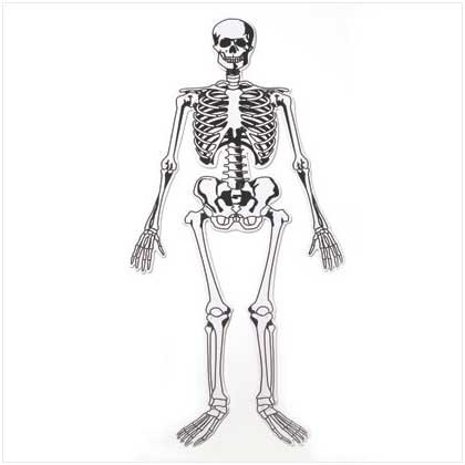Childrens Toyshop  Toys : GLOW IN THE DARK SKELETON PUZZ