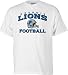 Reebok Detroit Lions White Short Sleeve Stacked Helmet T-Shirt - X-Large