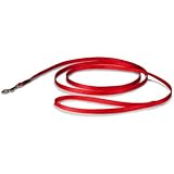 PetSafe Nylon Leash, 3/8" x 6', Red