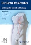 Der K�rper des Menschen (Grafik-CD)f�...